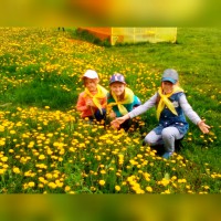 InShot_20190610_093311404.jpg
